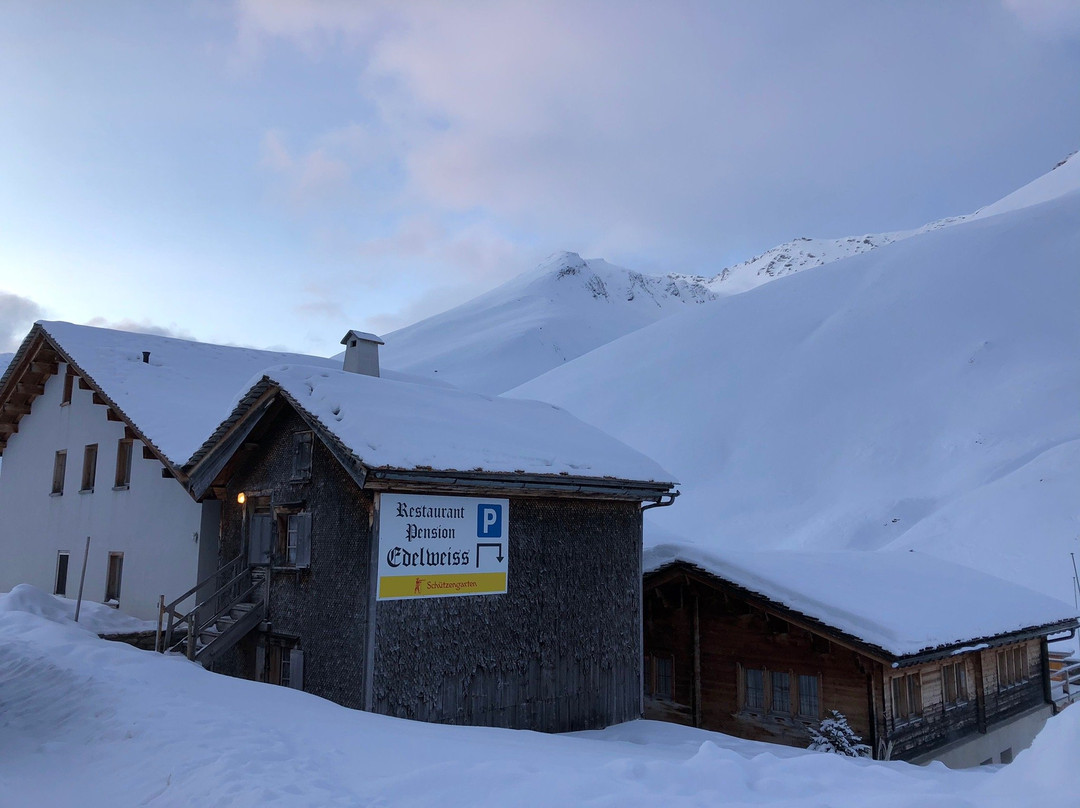 Pension Edelweiss主图