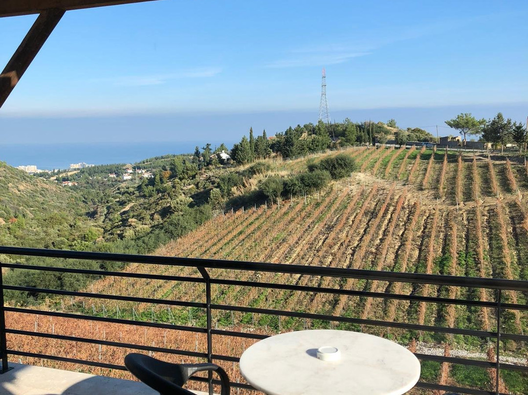 Gillham Vineyard Hotel主图