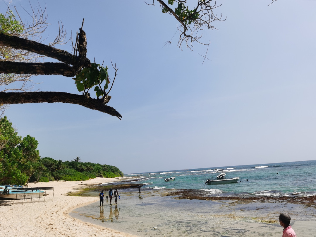 Mirissa Snorkeling Tours-美蕊沙必去景点