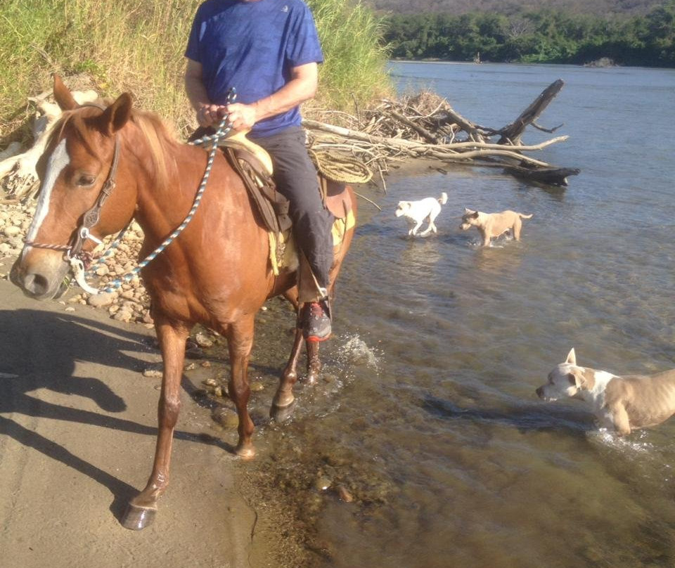 Horses Rancho Caballo De Mar景点图片
