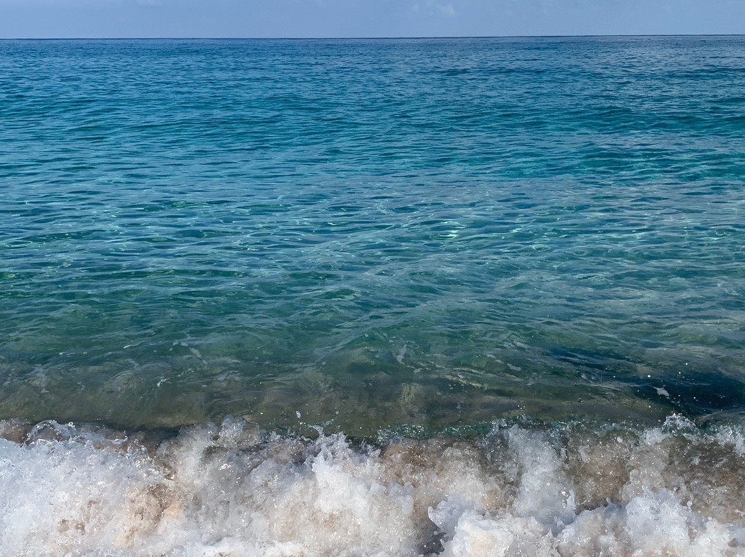 Resort Ras Al Hadd Holiday主图