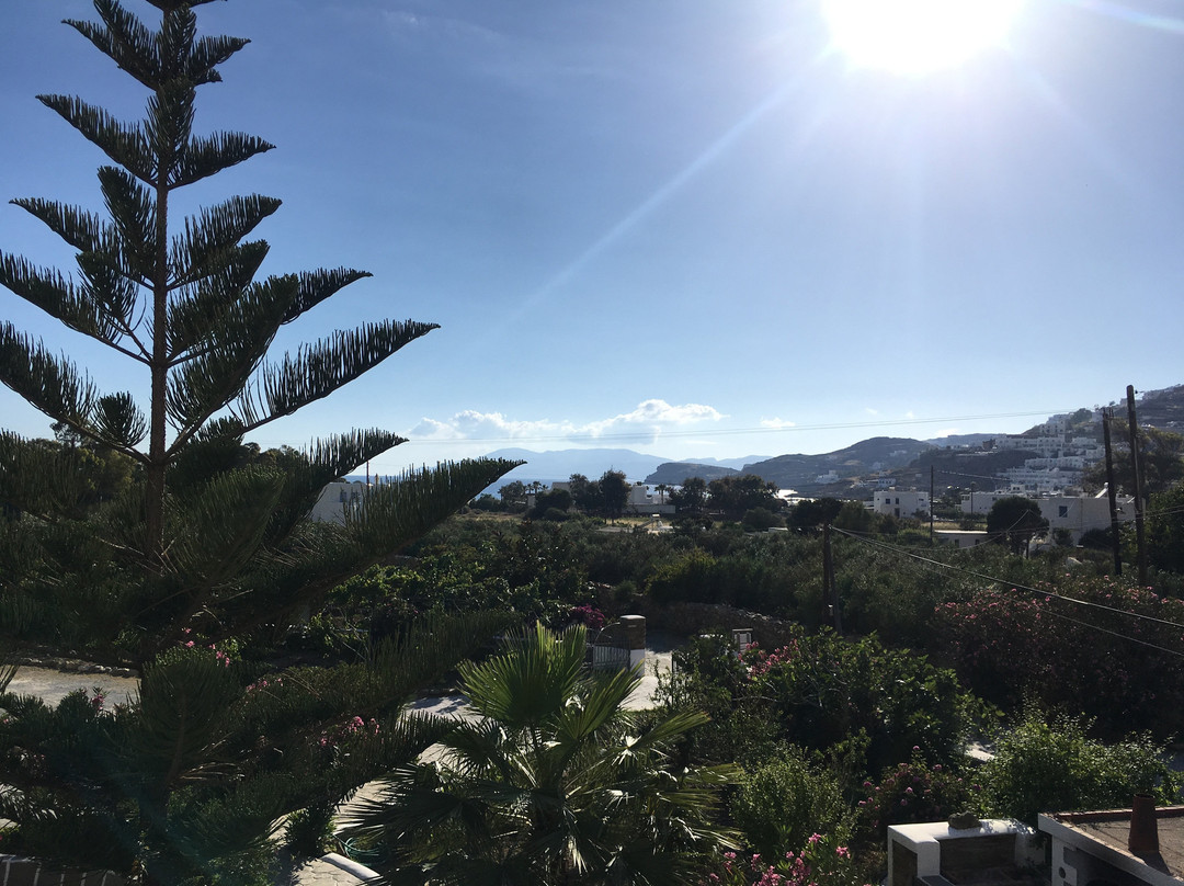 Island House Hotel主图