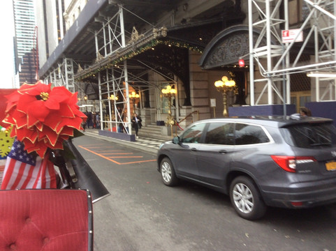 Central Park Carriage Rides - Official Booking  Site-纽约市必去景点