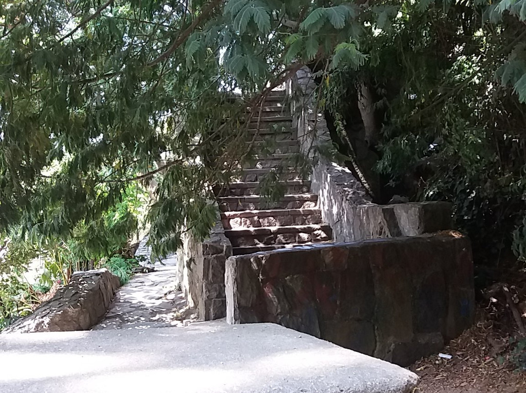 Cerro Caracol-康塞普西翁必去景点