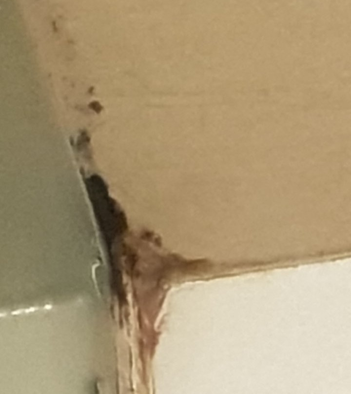 The Oriental Leyte主图