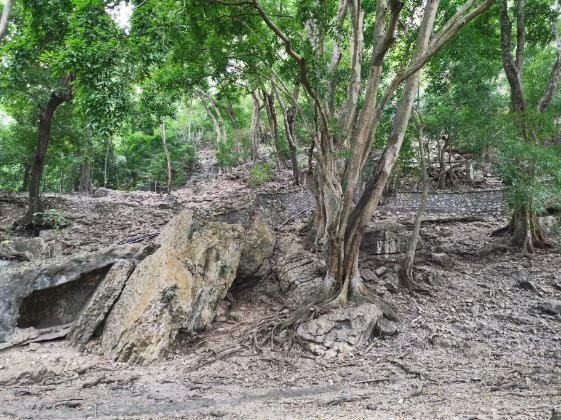 Zoológico Miguel Álvarez del Toro-图斯特拉古铁雷斯必去景点