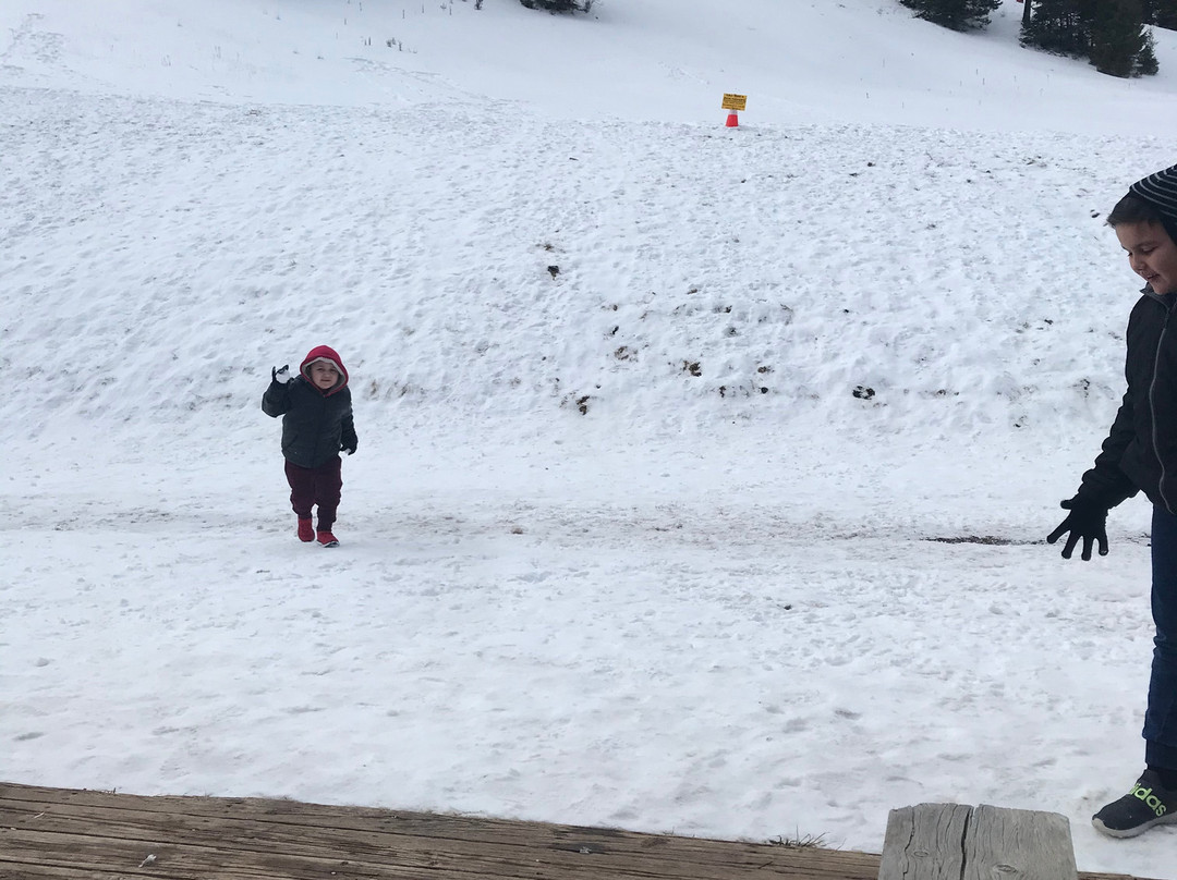 Ski Cloudcroft-Cloudcroft必去景点