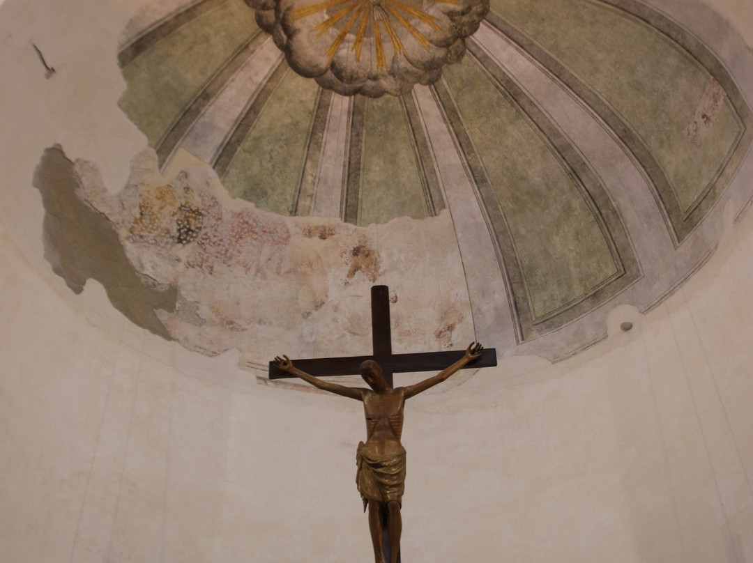 Museo Diocesano景点图片