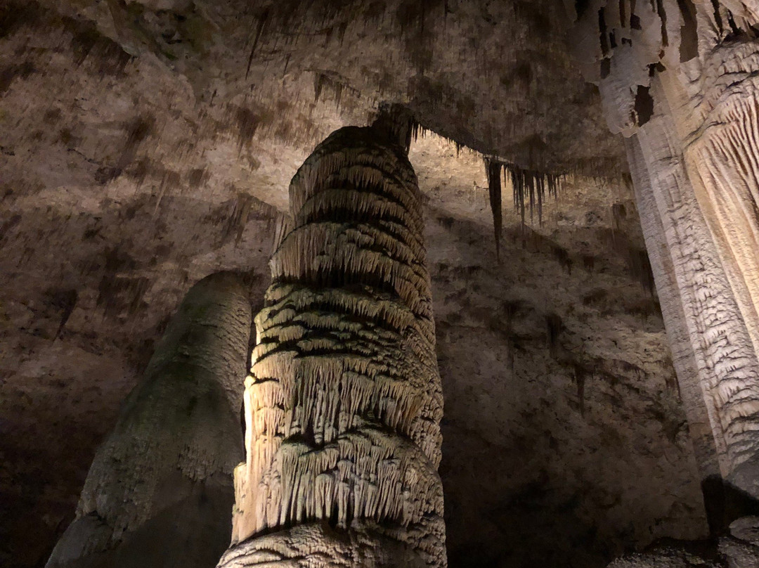 Giant Dome-卡尔斯巴德洞穴国家公园必去景点