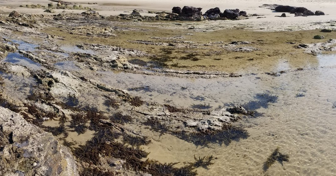 Pilot Beach-Camden Head必去景点