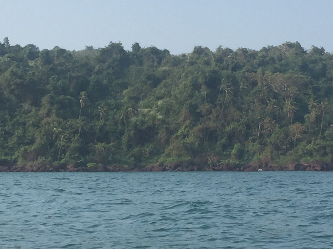 Scuba Evolution India-安朱纳必去景点