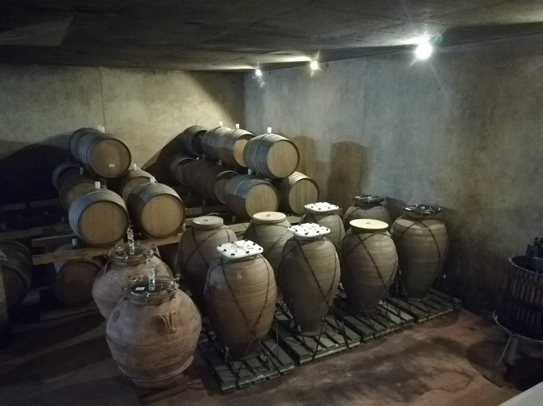 Avondale Wine-帕尔必去景点