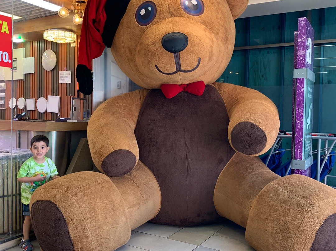 Mall Zofri-伊基克必去景点