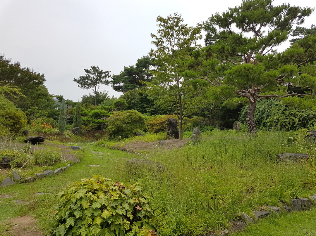 Daegu Arboretum-大邱必去景点