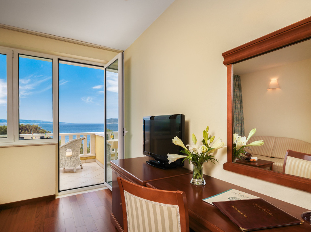 Hotel Villa Bacchus主图