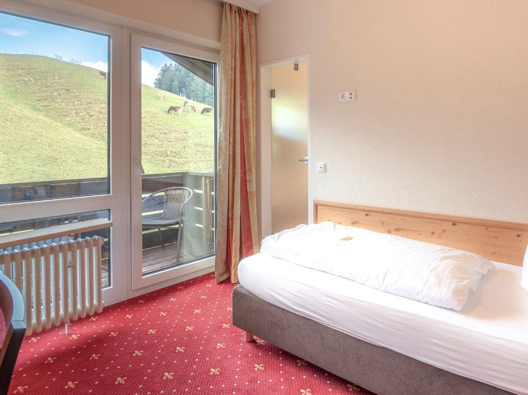 Rothenfels Panorama Hotel主图