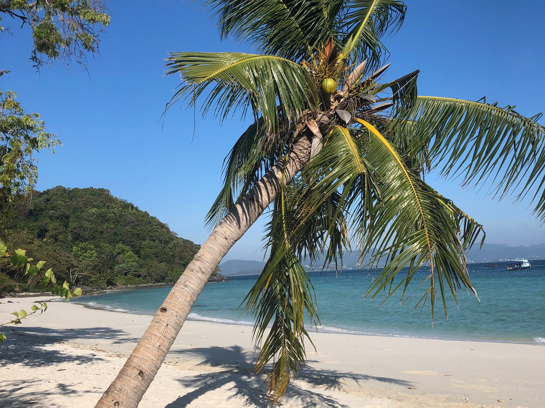 珊瑚岛度假村主图