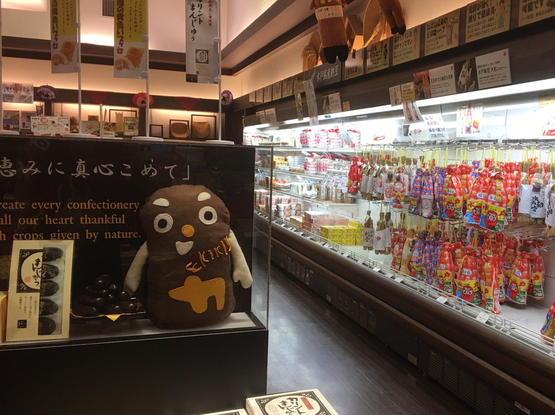 Tomobe Service Area Inbound-笠间市必去景点