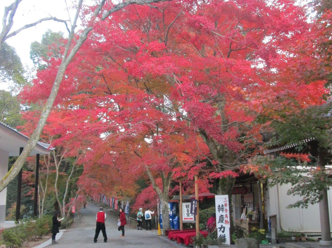 园城寺-大津市必去景点