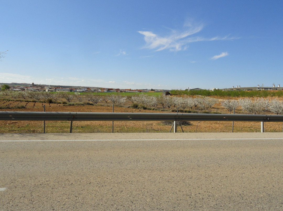 Hotel Los Arenales主图