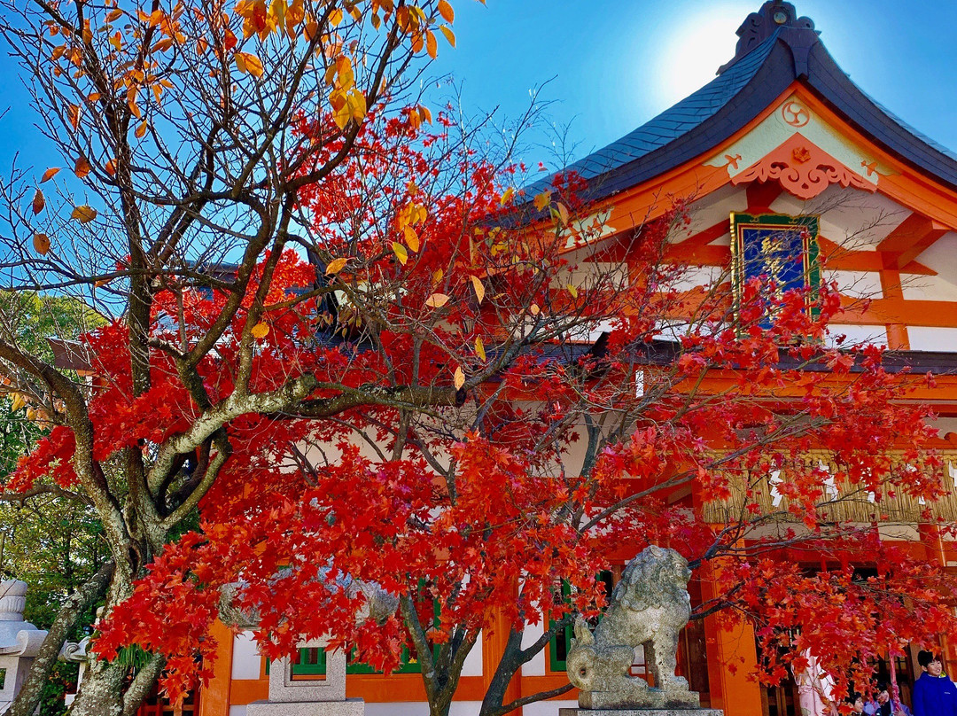Momiji Hachimangu Shrine景点图片
