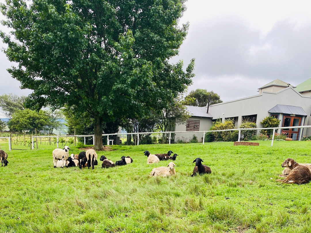 Midlands Inverness Cottages主图