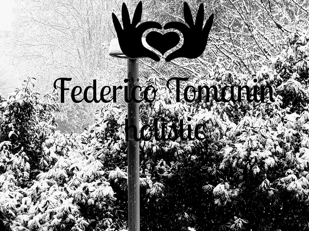 Federico Tomanin Holistic-罗维戈必去景点