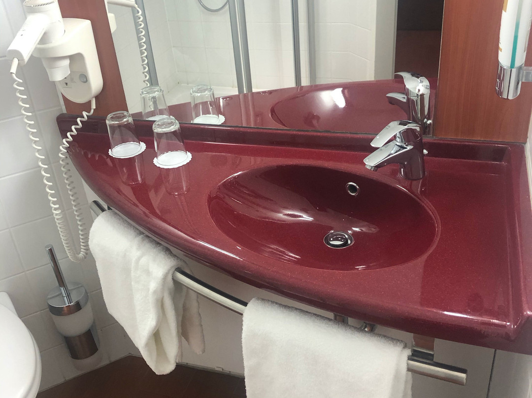 萨尔茨堡机场星辰酒店主图