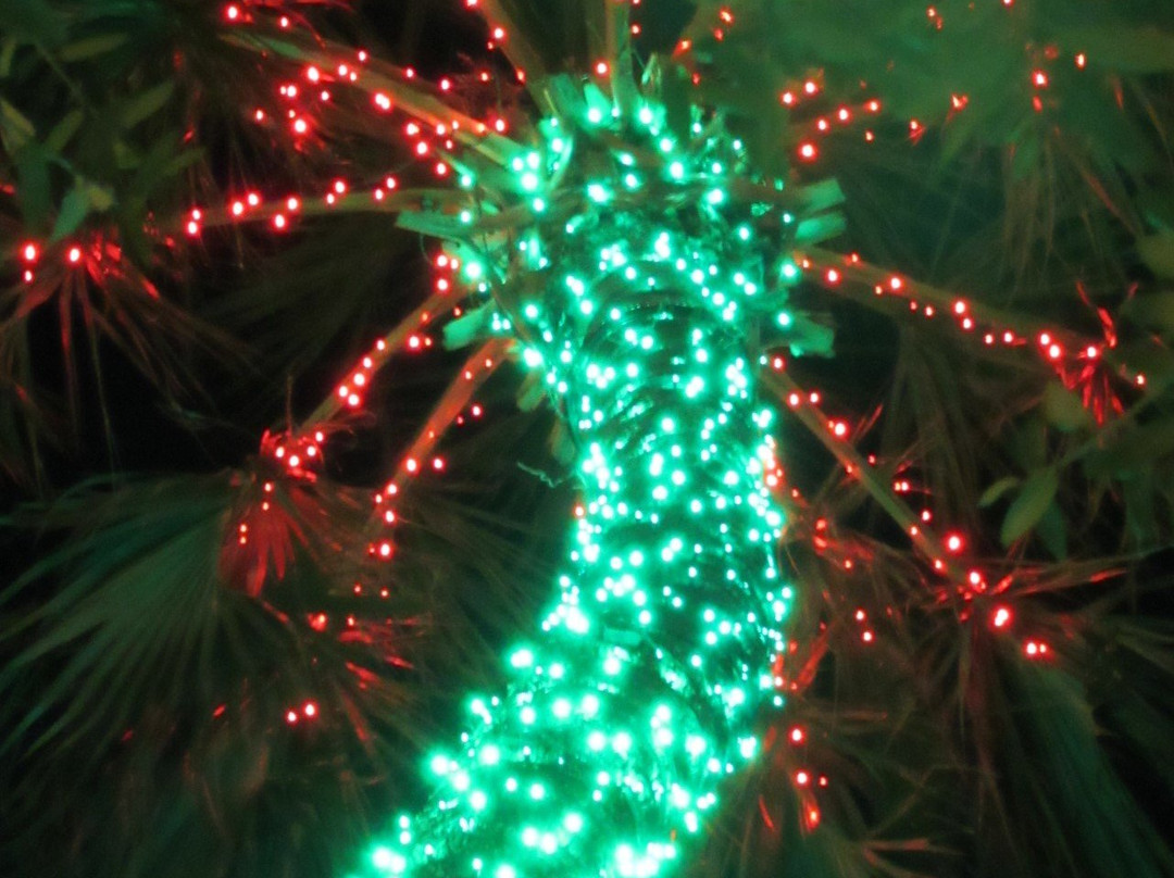 Ocala Downtown Square-奥卡拉必去景点