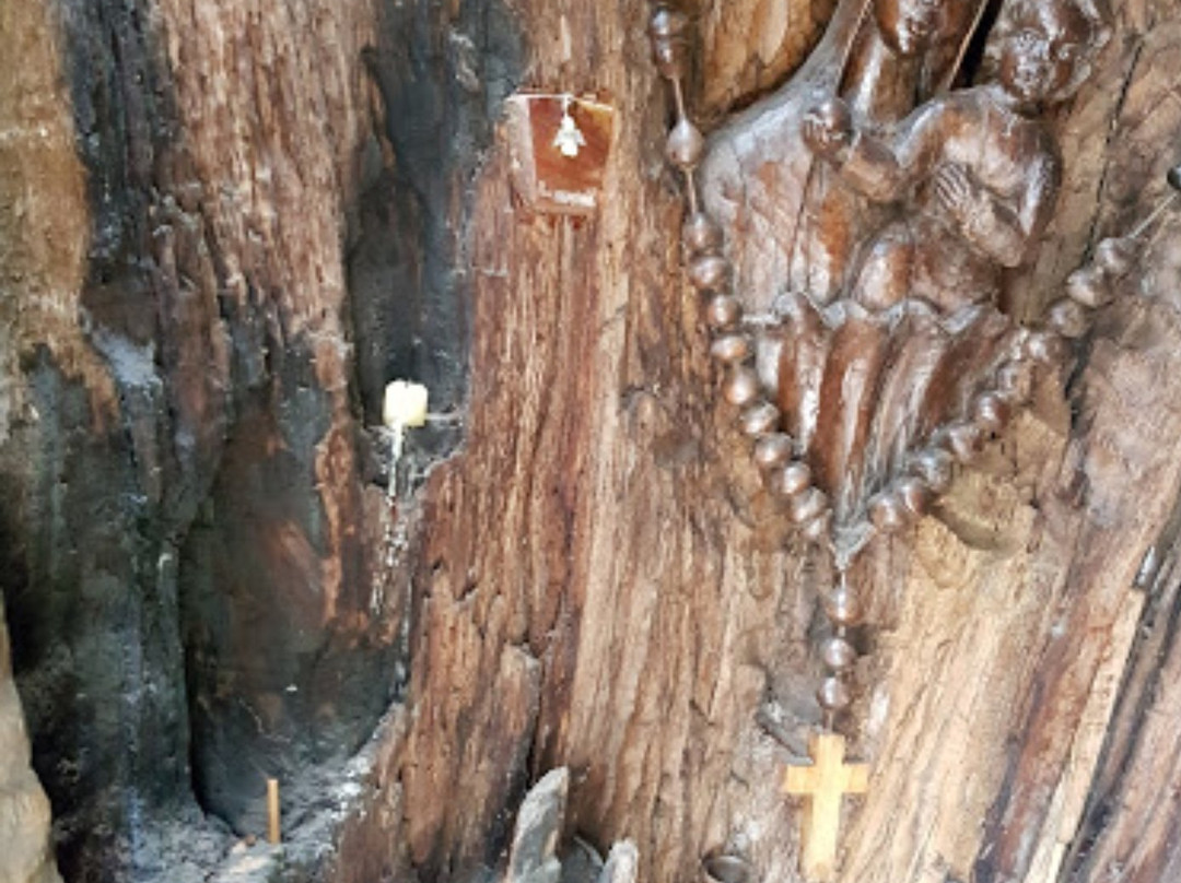 Castineiro Milenario-Begonte必去景点