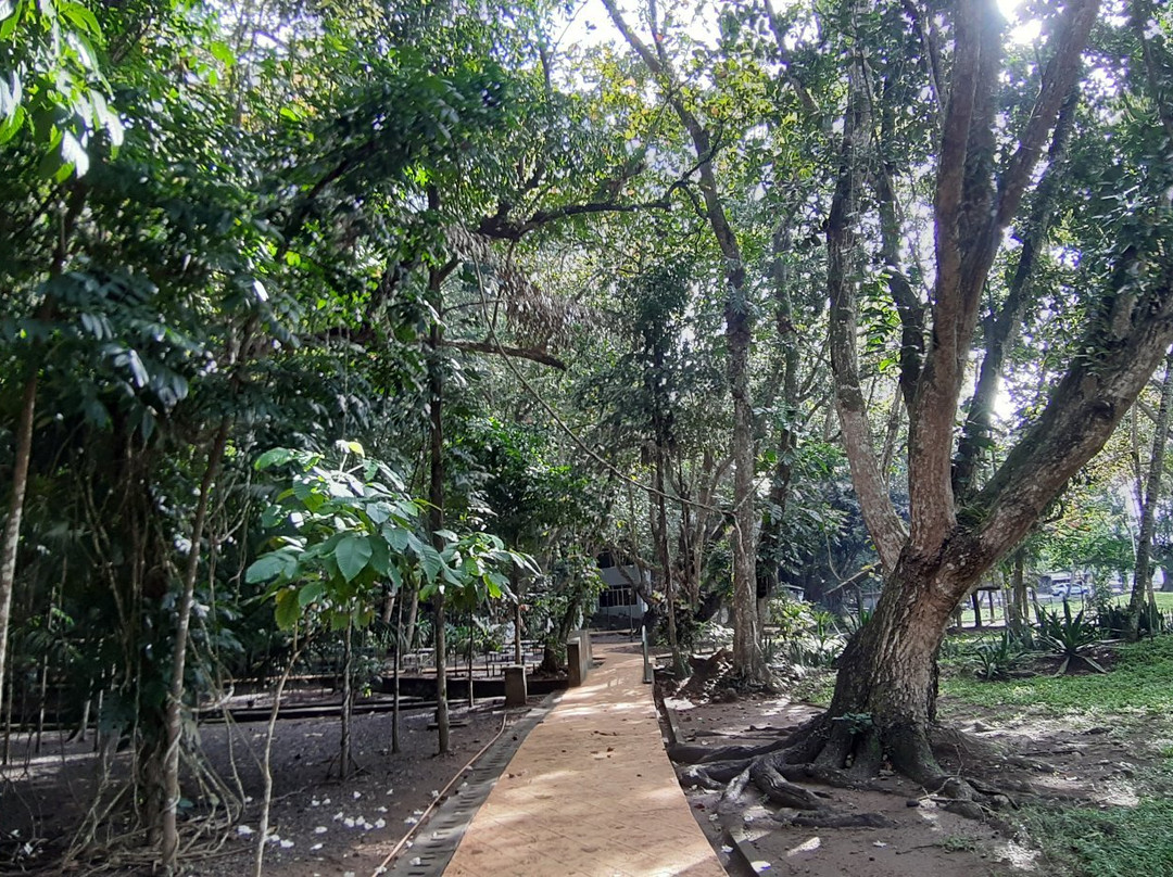 The Rizal Shrine-达皮丹市必去景点