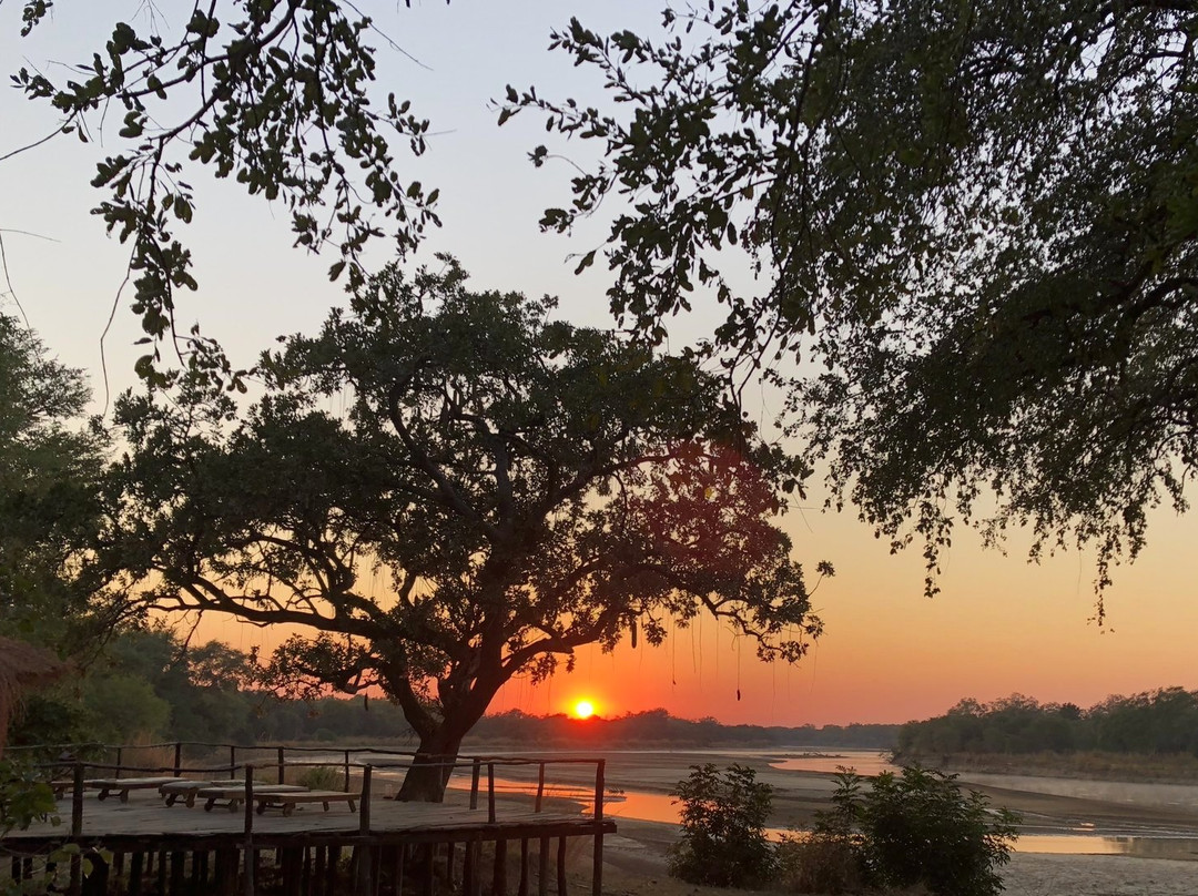 North Luangwa River Lodge & Camp主图
