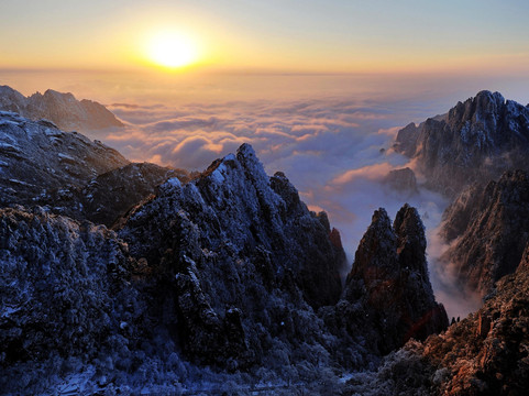 Trippest Huangshan Tours