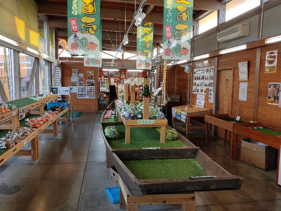 Michi-no-Eki Kitakawabe-加须市必去景点