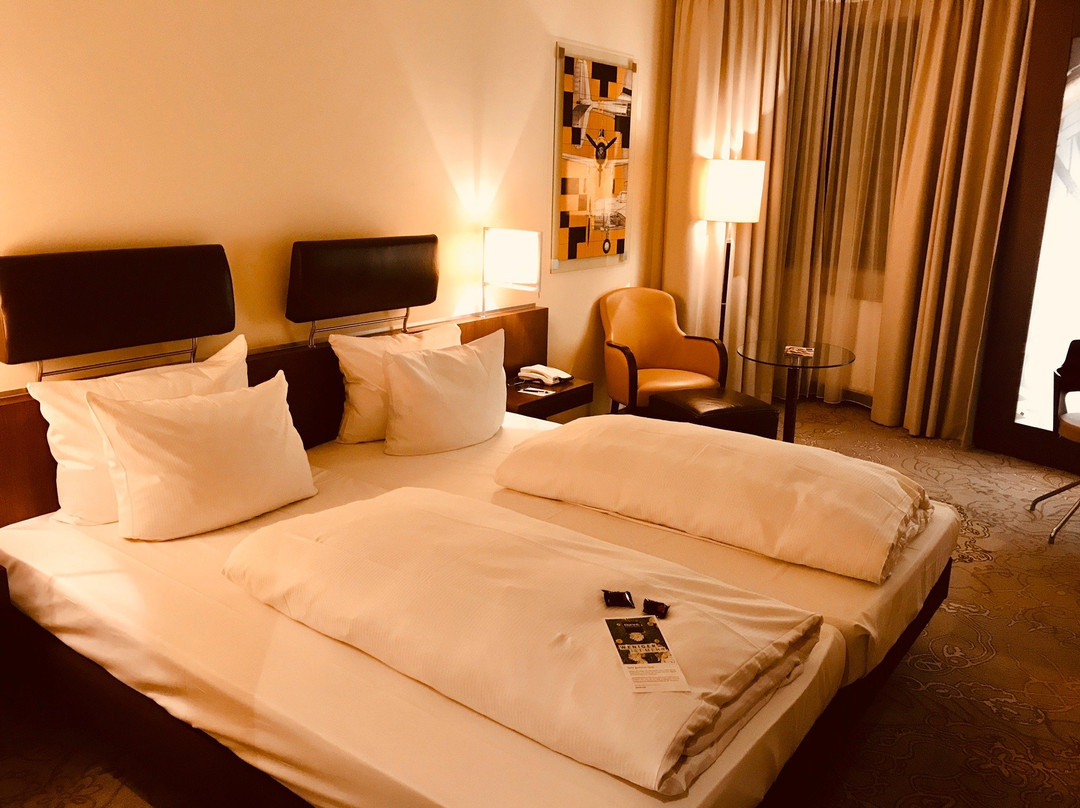 法兰克福-尼德拉德多林特酒店主图