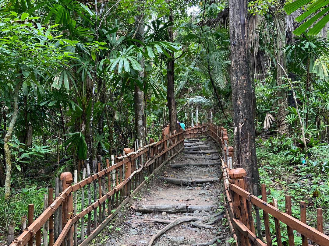 Mud Volcano-Baratang Island必去景点