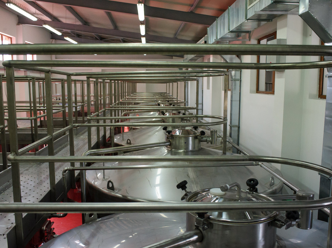 Rupel Winery景点图片