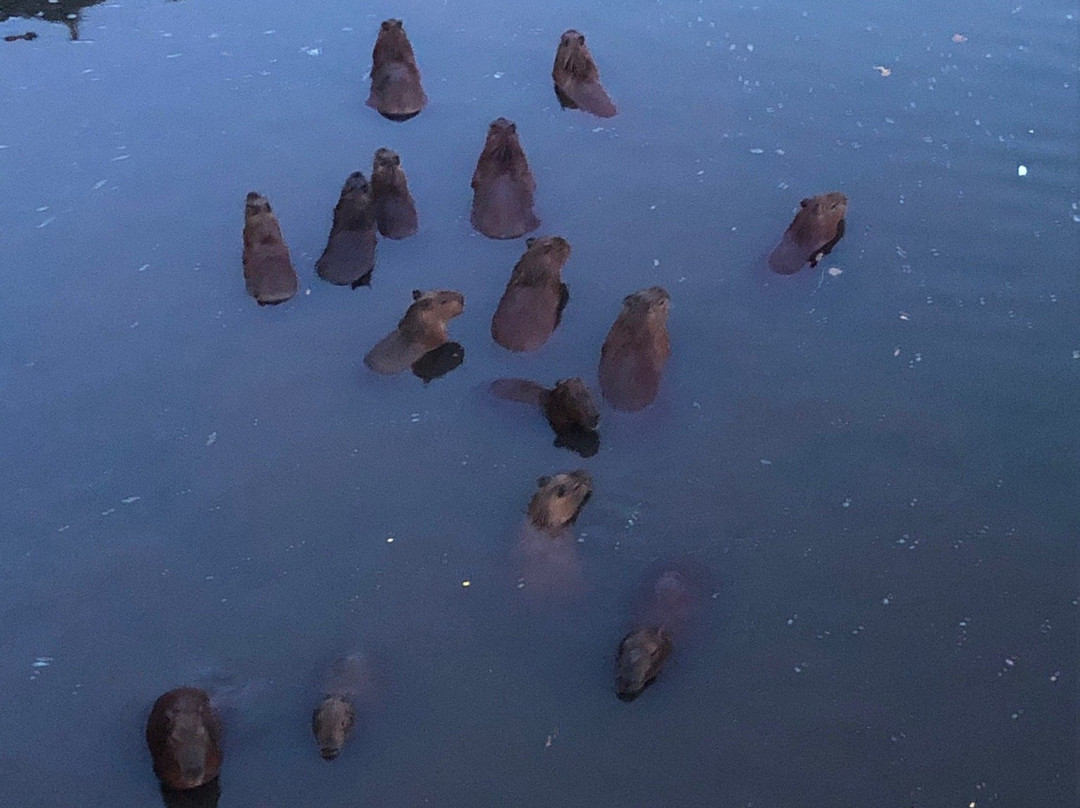 Parque da Represa Municipal-普雷图河畔圣若泽必去景点