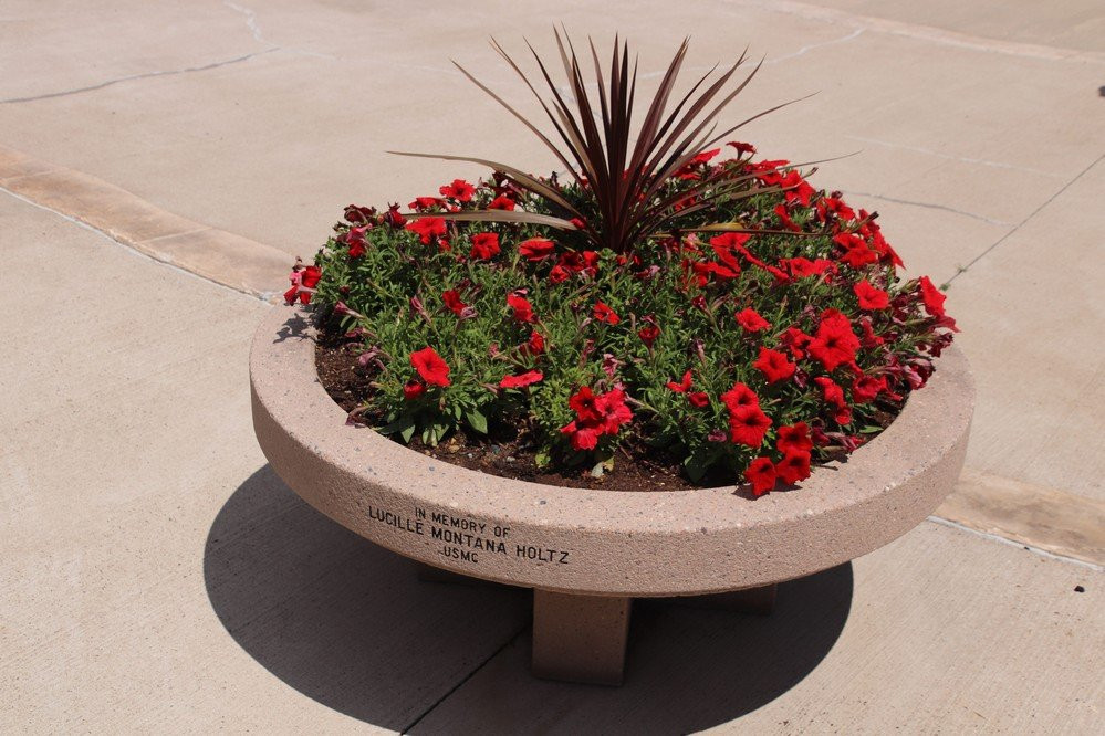 Montana Veteran's Memorial Flag and Park-Shelby必去景点