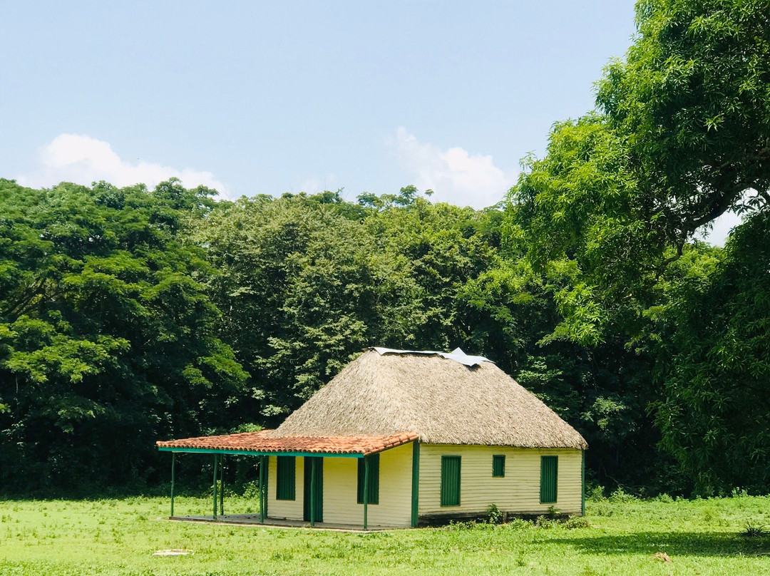 Cuba Mania Tour-哈瓦那必去景点