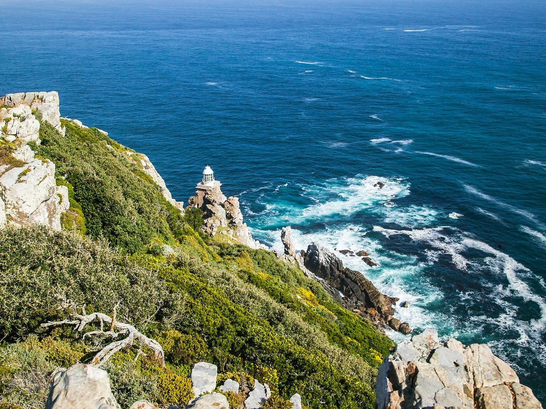 Cape Point Nature Reserve-Cape Peninsula National Park必去景点