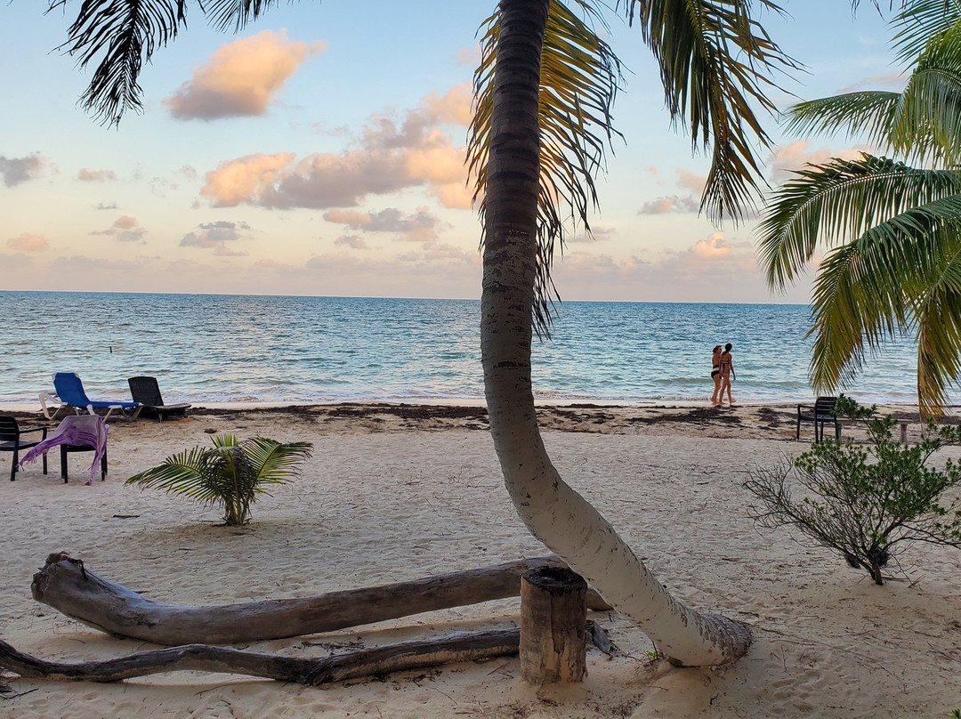 Hotel Cielo y Selva主图