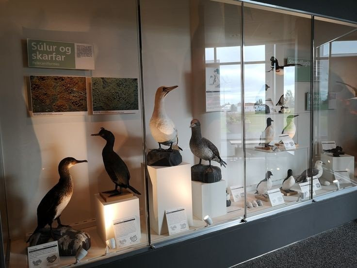 Natural History Museum of Kopavogur-科帕伏古必去景点