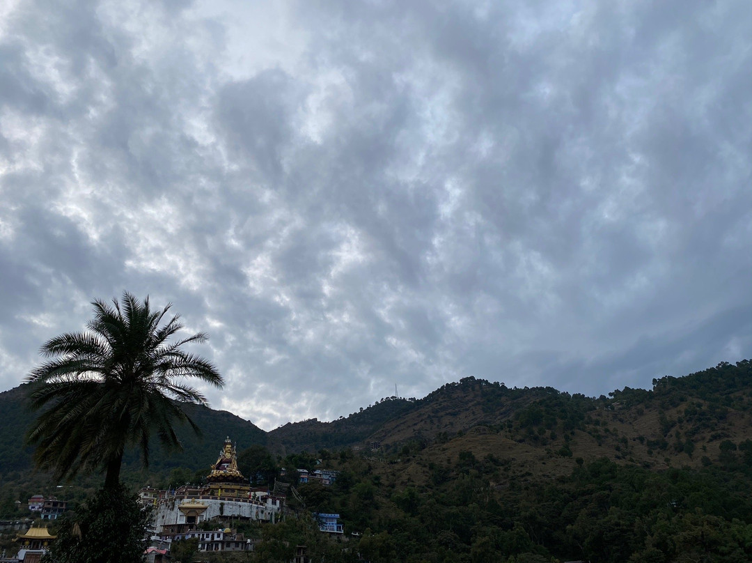 Rewalsar Lake景点图片