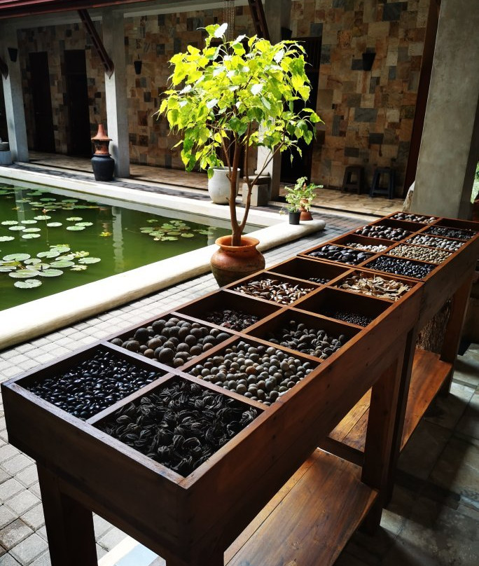 Jasmin Villa Ayurvedic Resort - Day Spa景点图片