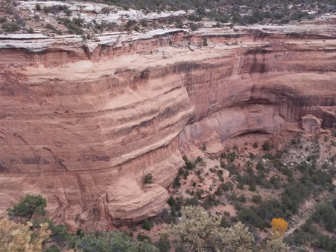 Grand View Point Overlook景点图片