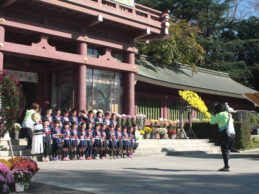 Kasama Chrysanthemum Festival-笠间市必去景点