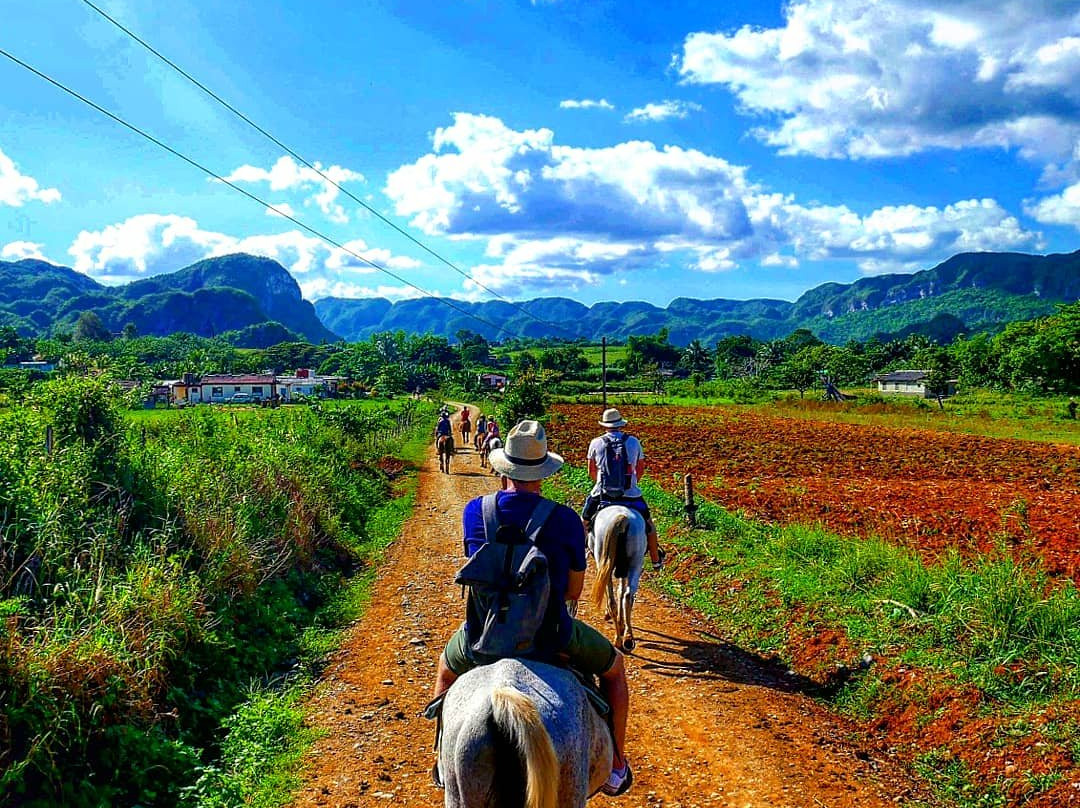 Sunny Vinales Tour-维纳勒斯必去景点