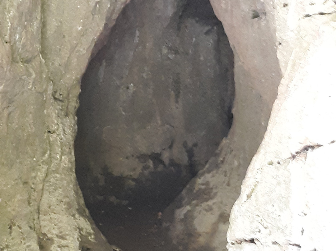 Wapsipinicon State Park-Anamosa必去景点