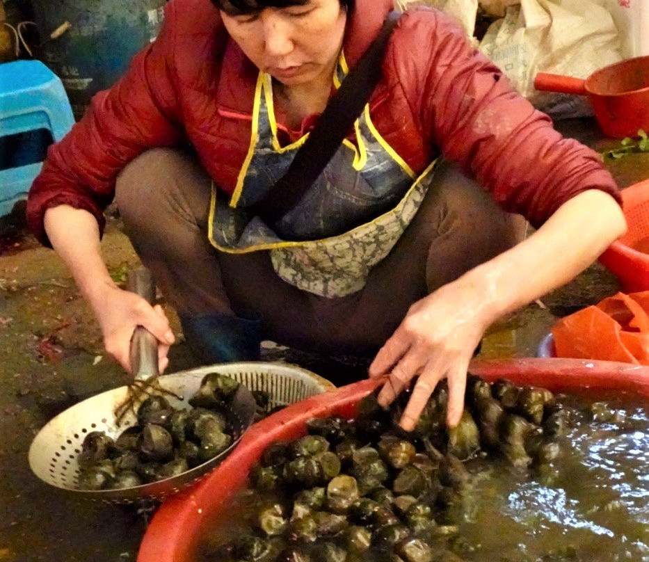阳朔土产市场-阳朔县必去景点